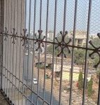 2021-09-05-rat-rodent-net2-143x300