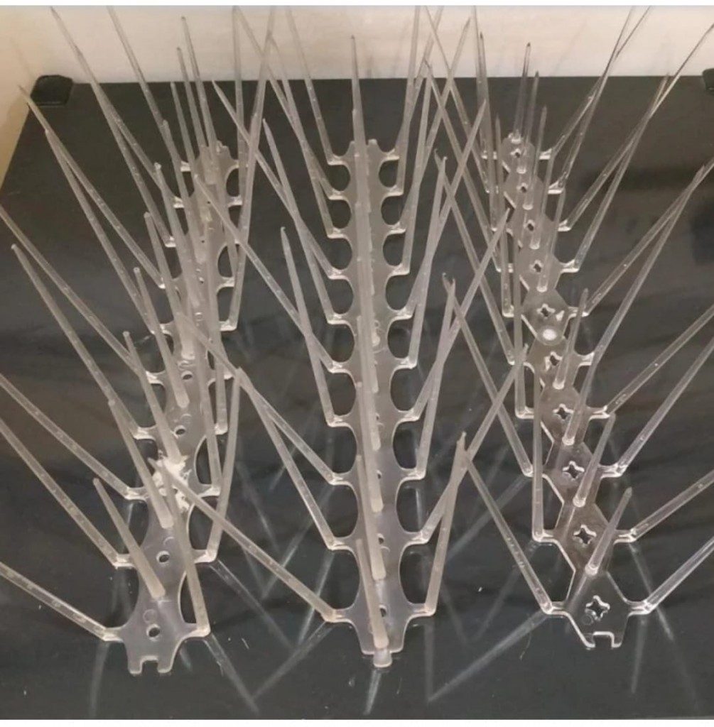 bird-spikes-sqr-20feb2021-7-1005x1024
