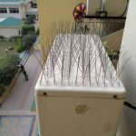 bird-spikes-v20feb2021-18-768x1024