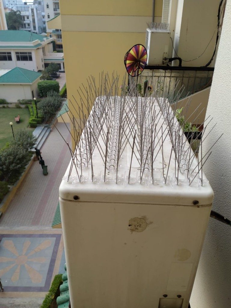 bird-spikes-v20feb2021-18-768x1024