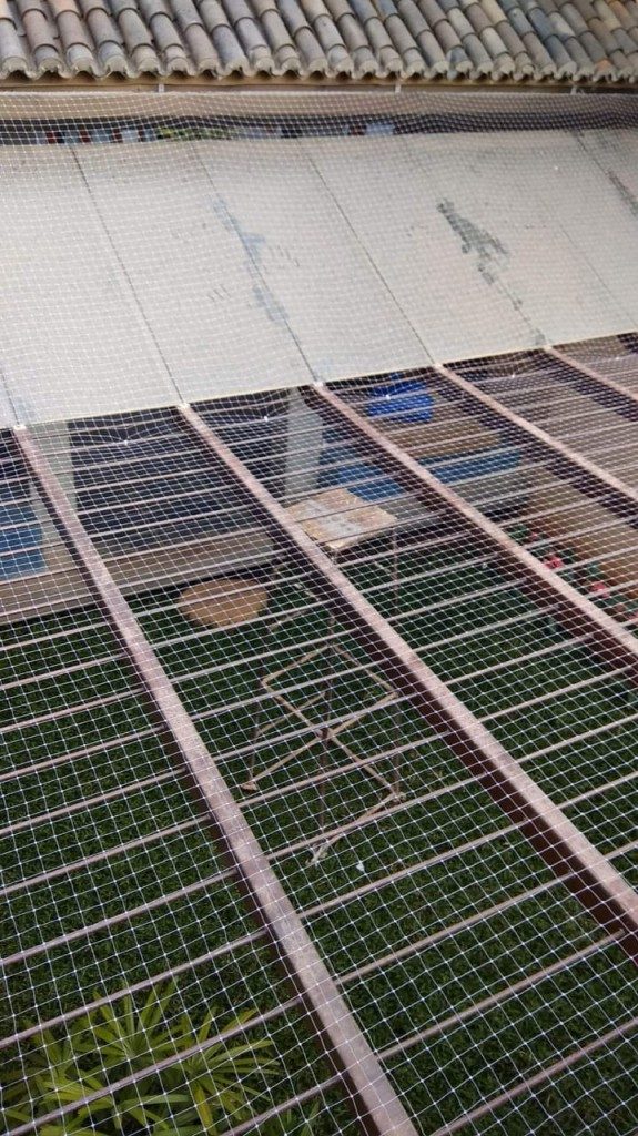 industrial-bird-net-installation-v20feb2021-4-575x1024