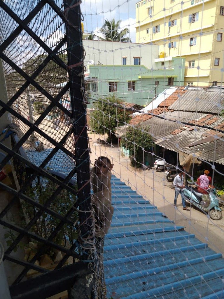 monkey-proofing-net-1-768x1024