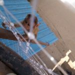 monkey-proofing-net2-768x1024