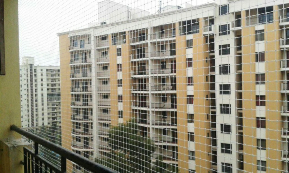 nylon-bird-nets-h20feb2021-29