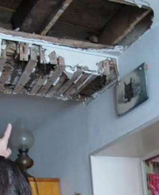 termite-control-solutions-delhi-gurugram-noida-315×388